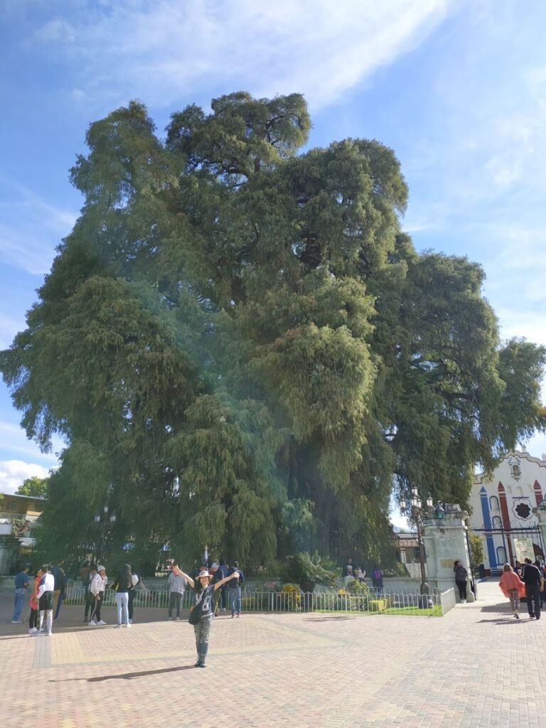 旅ブログ オアハカ Oaxaca Mexico 世界遺産 先住民族文化 美食 魅力あふれるメキシコ南部の町 Nana En Barcelona スペイン 地中海生活 バルセロナで生きる